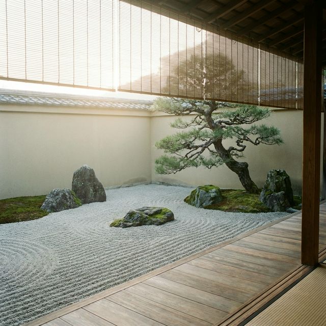 Zen Garden